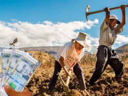 bono agrario 2024 link consulta dni