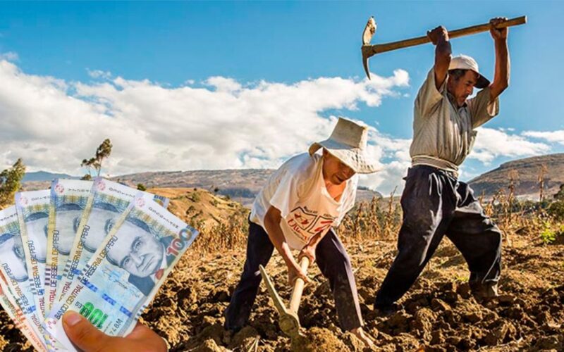 bono agrario 2024 link consulta dni