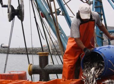 Segundo Bono de Pescador Artesanal