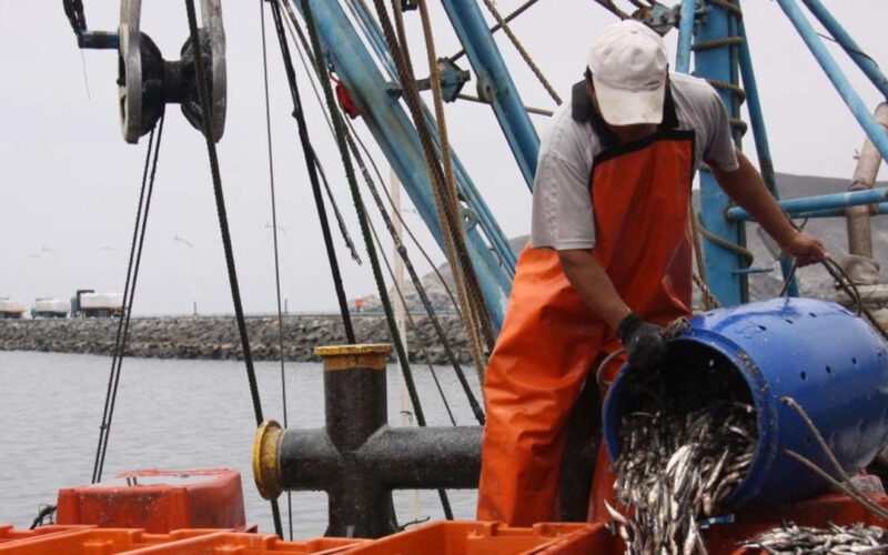 Segundo Bono de Pescador Artesanal